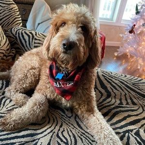 Meet your Posher, Joanne